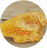 国産蜂蜜の通販サイト・ハニープラントの採蜜時期を知る