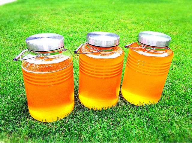 「信州立科産りんご蜜」搾りたての新蜜を6/11（月）より販売開始します。