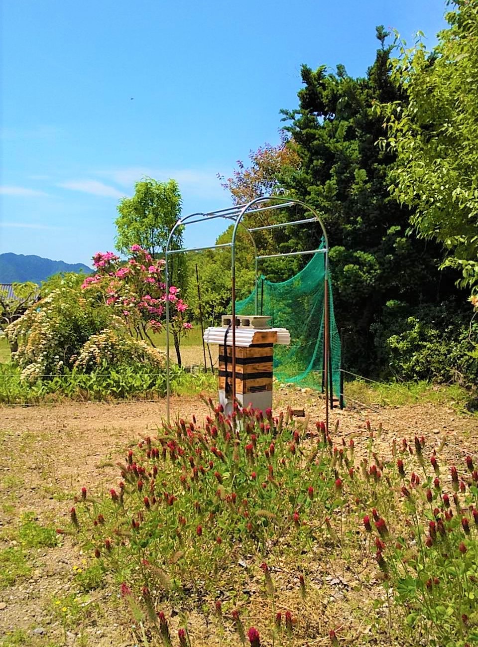 兵庫県丹波市産 久下さんの日本ミツバチ百花蜜　Mサイズ(120g)