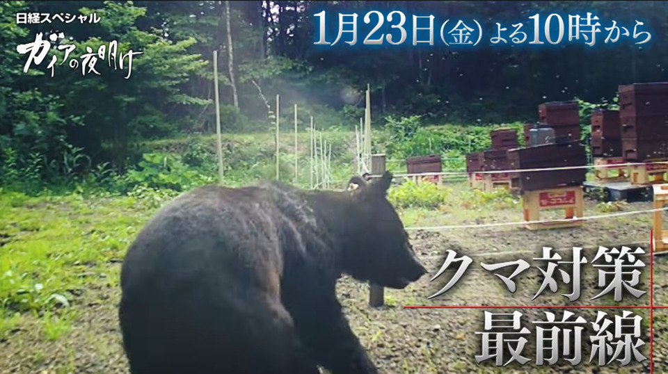 テレビ放送『ガイアの夜明け』に弊社養蜂場が登場！？